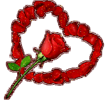 UNE BELLE ROSE